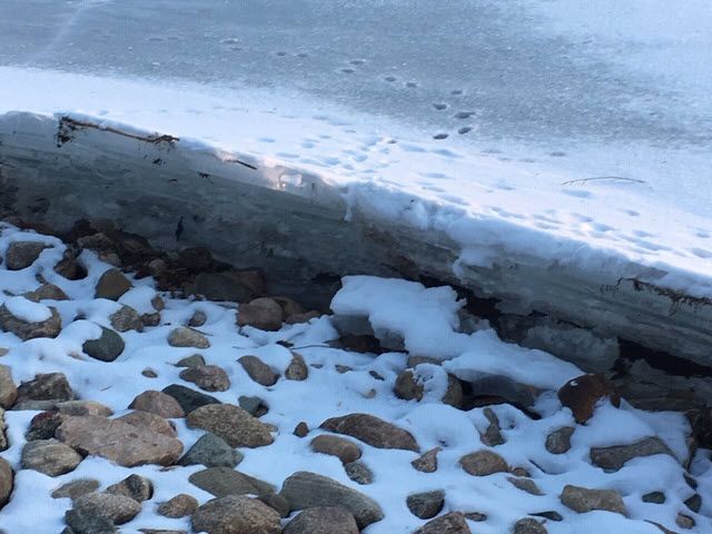 Ice Ridges on Whitefish