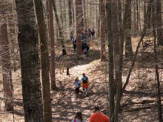 Hiking In Woods