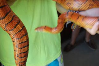 TBT: Zac and the Corn Snake