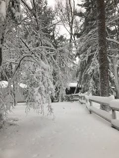 Snow at Camp