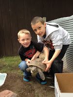 Boys with Gopher Tortoise