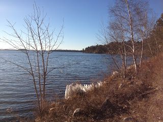 Whitefish Lake